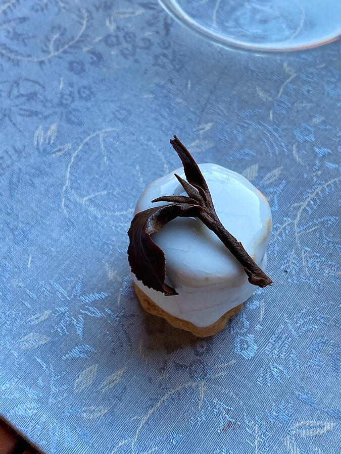 Tea Leaf Closeup Tea Leaf Closeup